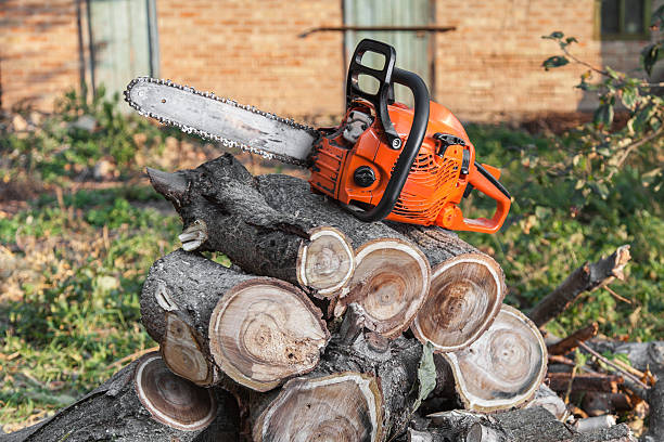 Best Professional Tree Care  in Center Point, AL